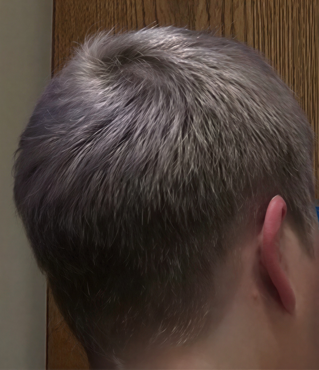 Men's silver cut, back view, by Lisa